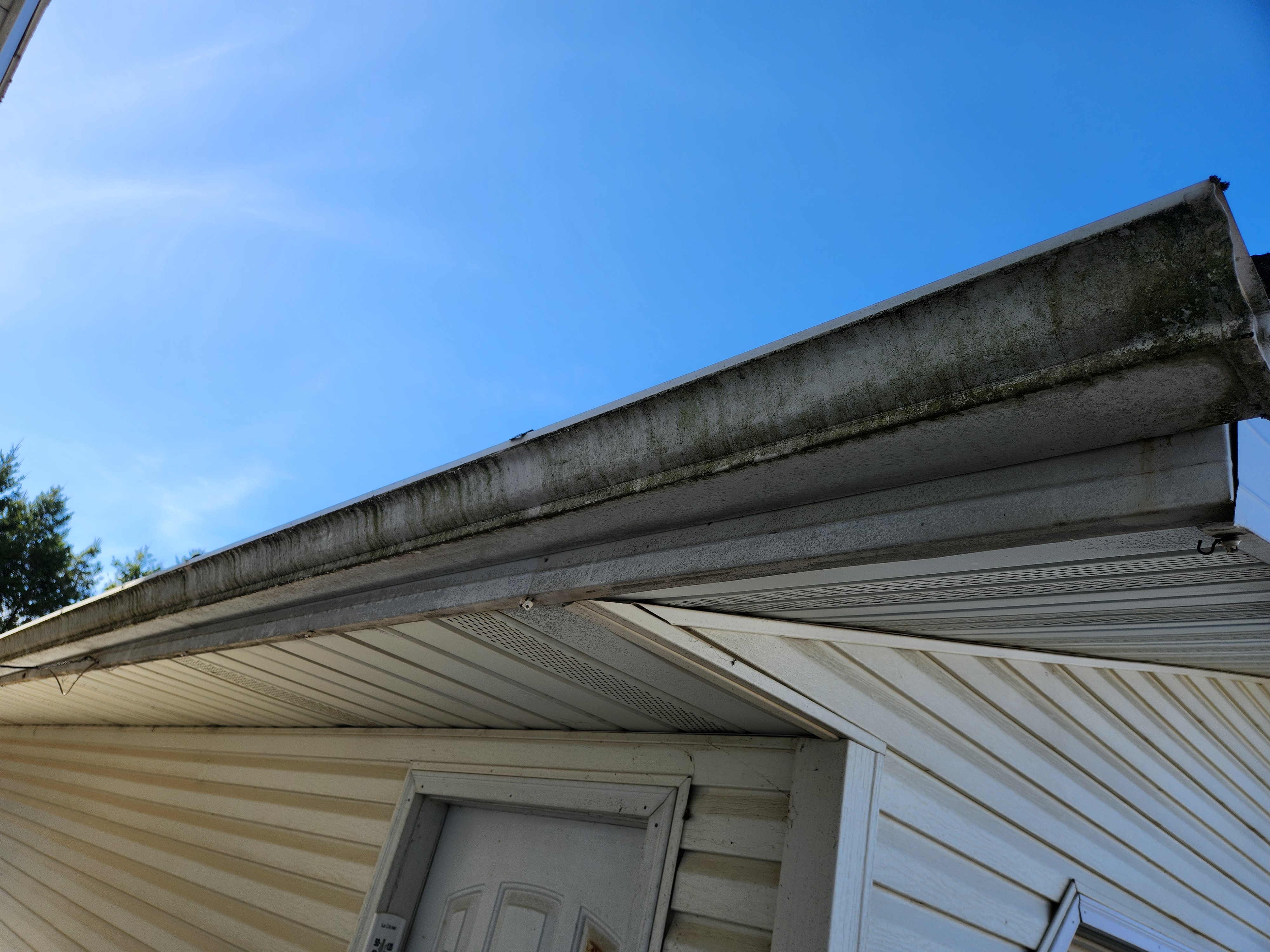 Professional Gutter Cleaning services in Colby, WI